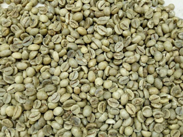 Robusta Coffee Beans, screen 18, grade 1, clean - Image 2