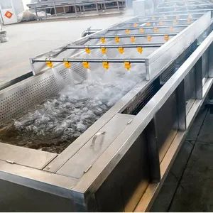 Durable Strawberry Washing Machine Fruit and Vegetable Processing Production Line - Image 5
