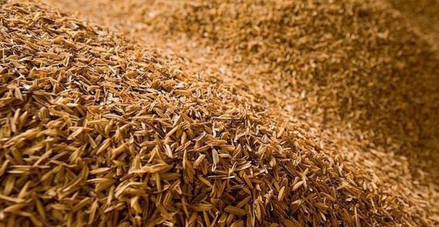 Rice husk Eco-friendly Yes Ash Content ±18% Origin Indonesia Max. Moisture (%) 12 Silica Content ±15–20% Moisture Content ≤ 12% - Image 2