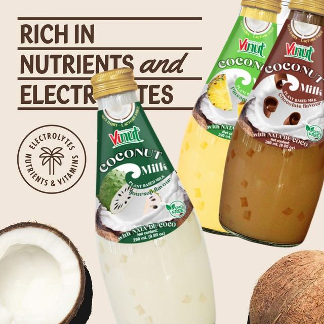 Coconut Milk Drink Chocolate w Jelly | 290ml (Pack of 24) VINUT, No Added Sugar, Wholesale Supplier, Free Sample, OEM ODM - Image 4