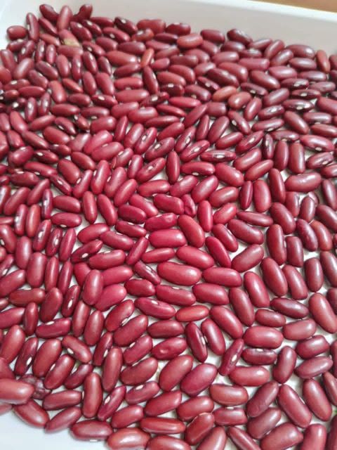 Egyptian red kidney beans _ Organic - Image 2