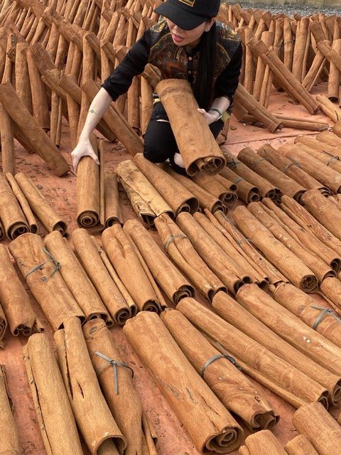 WHOLE CASSIA CINNAMON Color Natural Brown Max. Moisture (%) 13,5 Quality No moldy, not worm - eaten, not rotten and not black - Image 2