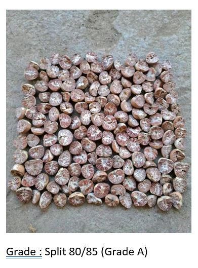 BETEL NUT - Image 2