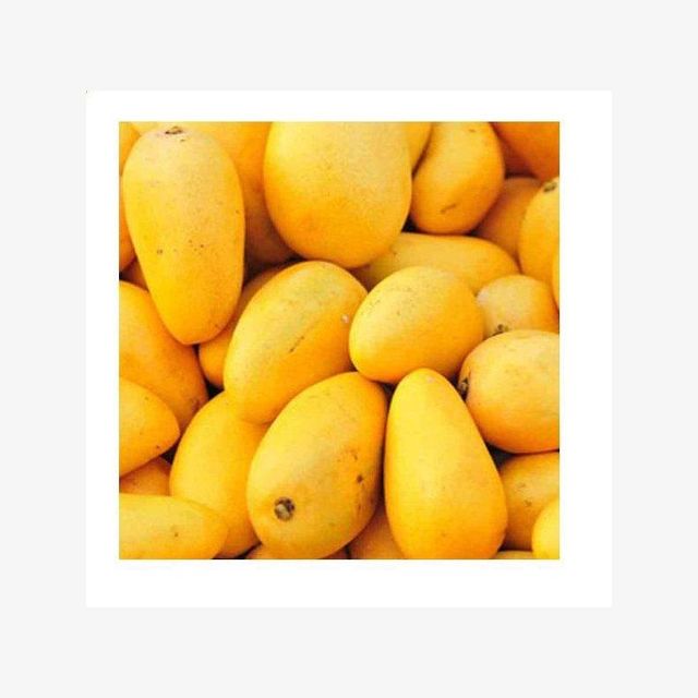 Exporter wholesale bulk fruit pulp frozen carabao mango with best price - Image 4