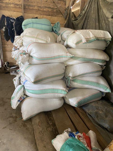 Robusta Coffee Beans -Origin Toraja Indonesia – product photo 3, product detail gallery