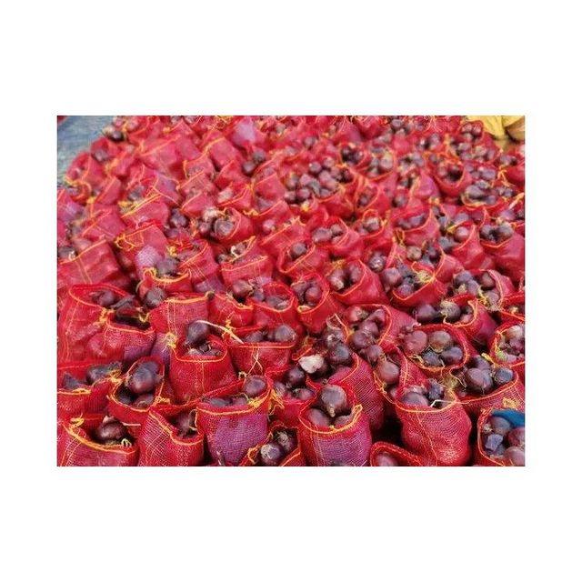 Fresh Red Onions New Harvest Wholesale Seasoned Foods spices big onions Top Grade - Image 3