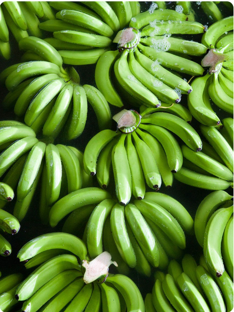Cavendish Banana - Image 1