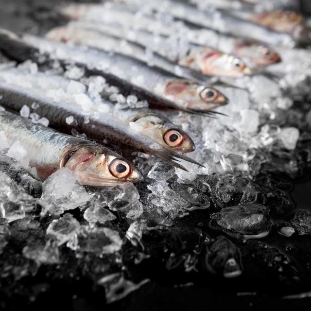 Frozen Sardine Fish Rich In Protein And Omega 3 Content For Food Service Providers And Wholesale Seafood Supply - Image 4