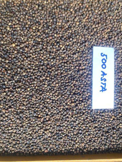 Tiêu đen 500G/L; 550G/L; 570G/; – product photo 1, product detail gallery