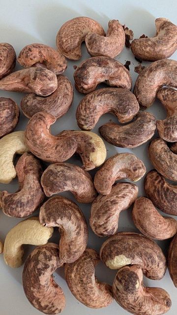 Cashew Kernels Premium Quality of grade W180 - Image 4