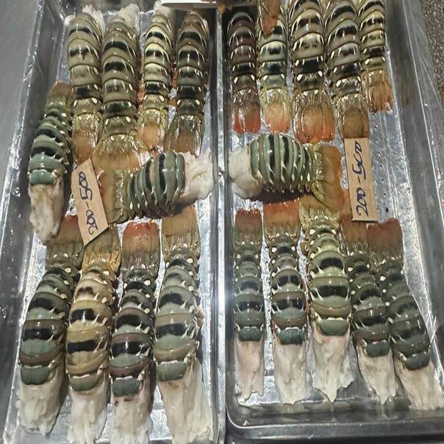 Whole Frozen Raw Lobster and Tails Premium Grade Of Product Quality Export Manufacture Market best quality - Image 1