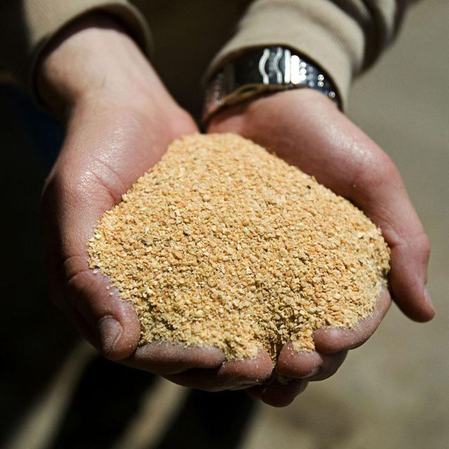 High Protein De Oiled Soybean Meal for Animal Feed Manufacturing and International Trade - Image 4