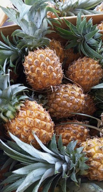 Fresh Pineapple - Image 3
