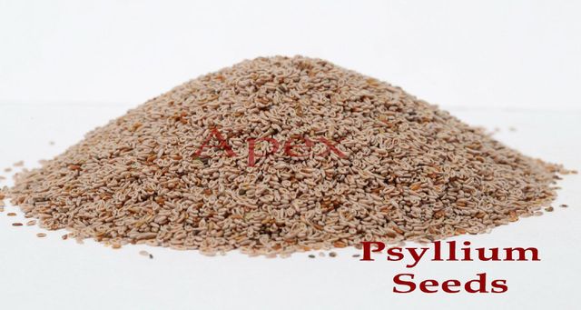 Psyllium Seed ,Psyllium Seeds, Psyllium Husk Seed ,Plantago Ovata, Psyllium , Psyllium Seed Bulk Supplier From India - Image 1