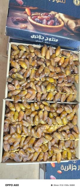 Premium Algerian Dates Deglet Nour 2026, DRIED DATES Grade A, Packaging 5KG Brand Name AGROBDT Technical Specification According to CODEX STAN 143-1985 & ISO 16649-2 - Image 5