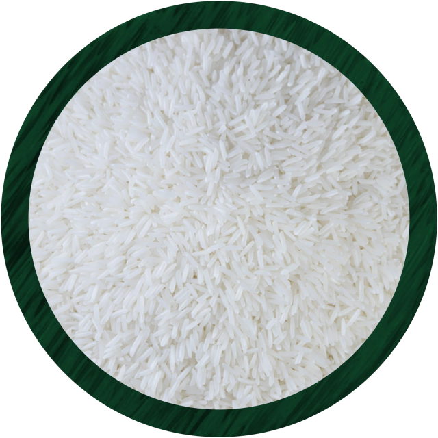 ST25 Rice - Premium Long Grain Rice (max 5% broken) – product photo 1, product detail gallery