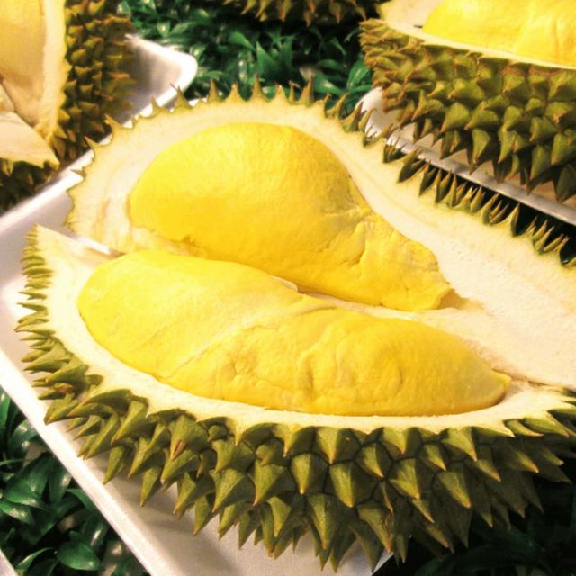 Wholesale Durian fruit PRICE OF WHOLE FROZEN DURIAN Frozen With Unique Taste Smell King Of Fruits Origin Vietnam - Image 5