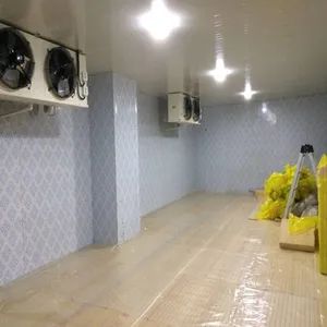 Best Customized Commercial Fruit and Vegetable Cold Room Storage Freezer - Image 6