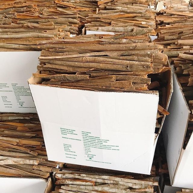Split Cassia Form Split Freshness Level Dried Delivery Form Bag, Carton - Image 4