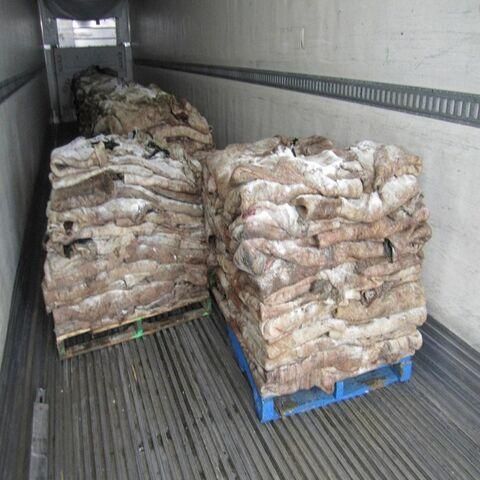 Wet Salted & Dry Salted Donkey & Cow Hides – Wet Salted Cow Hides - Image 1