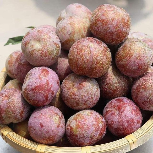 Fresh Plums Farm Fresh Selection For Food Service Buyers Providing Crisp Texture Natural Aroma And Premium Taste - Image 4