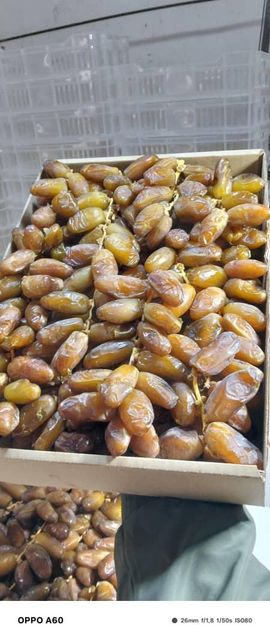 Premium Algerian Dates Deglet Nour 2026, DRIED DATES Grade A, Packaging 5KG Brand Name AGROBDT Technical Specification According to CODEX STAN 143-1985 & ISO 16649-2 - Image 4