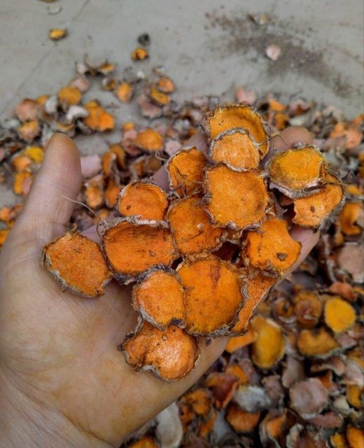 Dried turmuric Slices Grade A Hs Code 0910.30 Drying Process Sun Max. Moisture (%) 11% Foreign Matter Minimal Curcumin Content 3-5 %% - Image 3