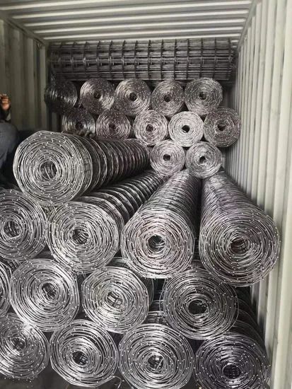 Factory Price1 2 1 Galvanized PVC Coated Welded Wire Mesh - Image 6