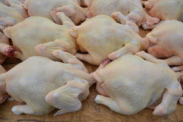 Fresh Frozen Chicken Whole and Cuts Halal Poultry Meat Supplier Export Quality - Image 3