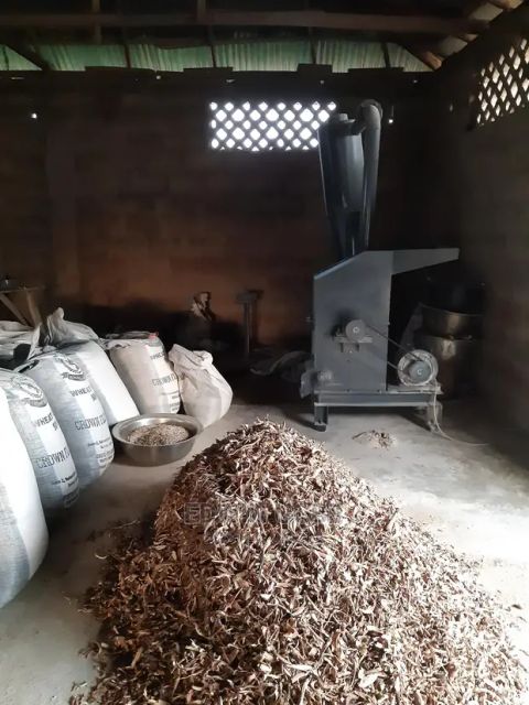 Animal feed like cassava - Image 4