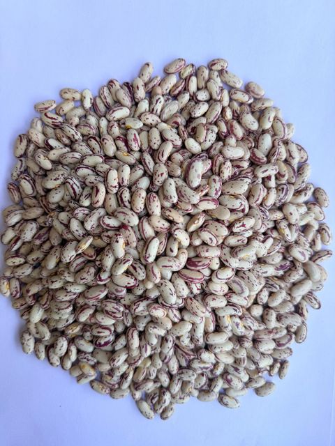 Lentils & Pulses - Image 2