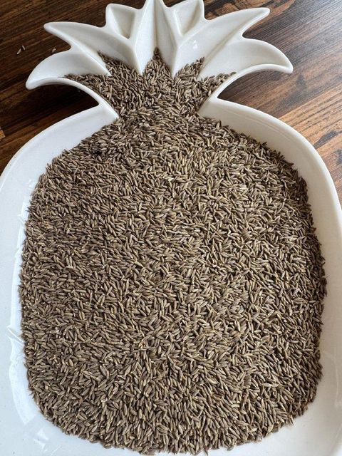 Cumin Seeds Moisture 10% Total Ash 9% Broken Seeds 5% Foreign Matter 1% Acid-insoluble Ash ≤1.5% Yeasts And Molds 10³ Cfu/g - Image 3