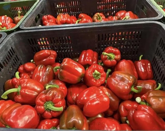 Fresh Bell Pepper, 1 - Image 1