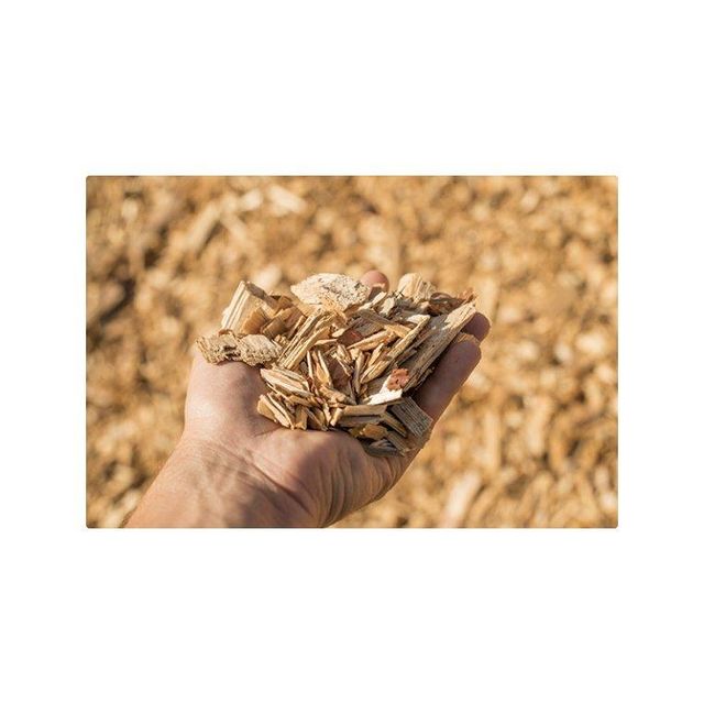 High-quality Wood Shavings for sale in bulk at competitive prices - Image 2