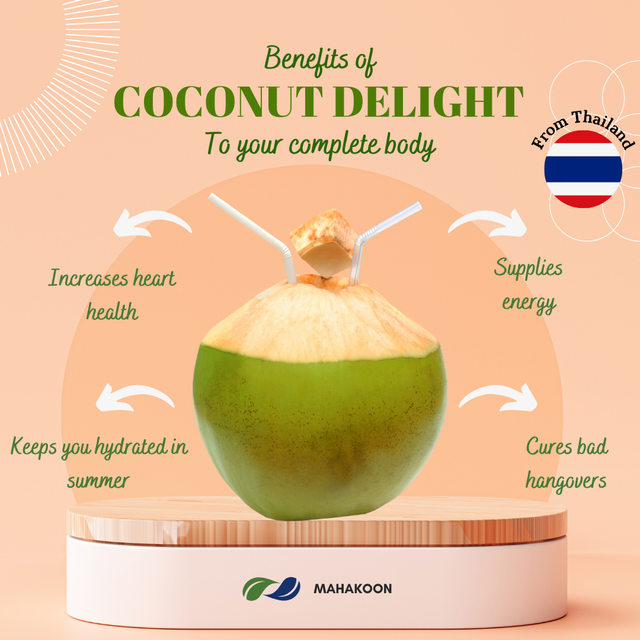 Premium Fresh Coconut From Thailand Sweet Organic Fresh Coconut Premium Quality From Thailand Best Seller with Easy Opener - Image 4