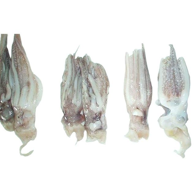 Frozen Squid Processed Marine Seafood For Restaurant Ingredient Sourcing Frozen Food Distributors And Export Markets - Image 2