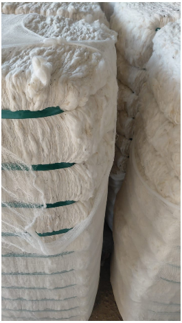 Raw cotton & cotton bales - Image 3