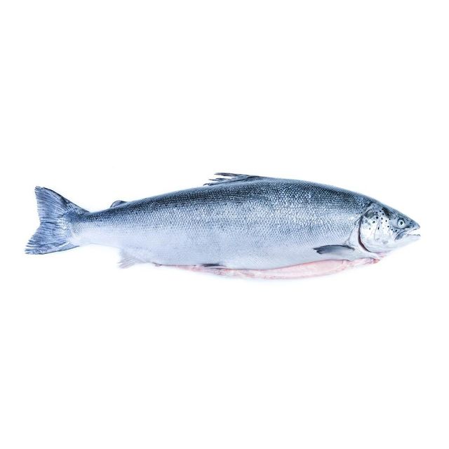 Frozen Salmon Fish Premium Ocean Harvest Rich Omega 3 Content Carefully Processed For International Seafood Distribution - Image 2
