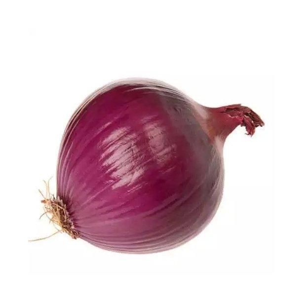 FRESH RED ONION FOR SALE - Image 2