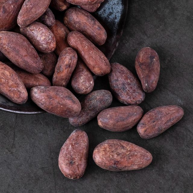 Natural Cocoa Bean With Premium Harvest Standards And Reliable Export Packaging For Global Ingredient Markets - Image 2