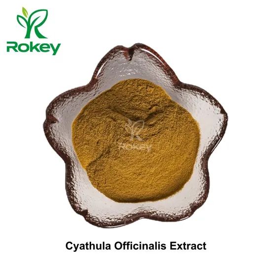 Premium Herbal Extract for Wellness & Vitality Cyathula Officinalis Extract Powder - Image 2