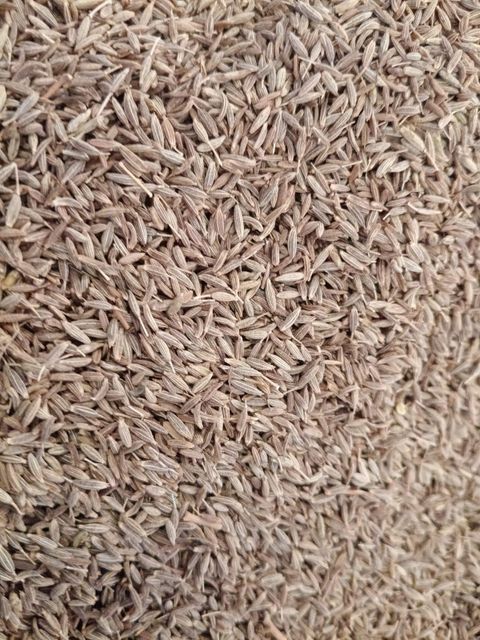 Cumin - Image 1