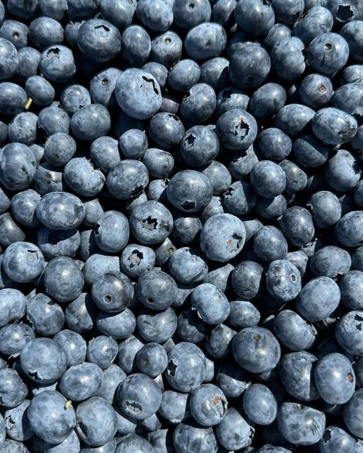 Premium Fresh Blueberries from South Africa for Exports! Class 1 export quality professional packing - Image 3