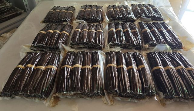 Madagascar Gourmet Grade A vanilla beans - Image 3