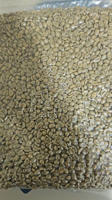 Arabica Coffee Beans - Image 3