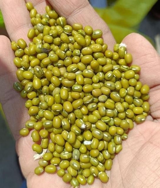 Whole Green Gram (Sabut Moong) - Image 1