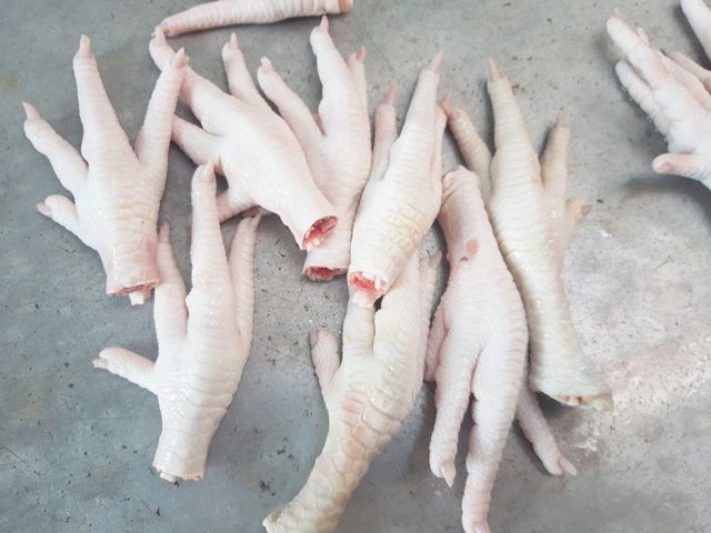 Frozen Chicken Feet Cleaned High Quality Halal Chicken Paws Bulk Supply for Global Food Service Industry - Image 3