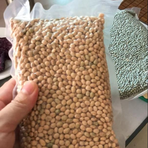 NON GMO Soya Beans for Sale Max Yellow Gift Crop Bulk Style Packing Packaging Food YZF Color Weight Shelf Origin - Image 5