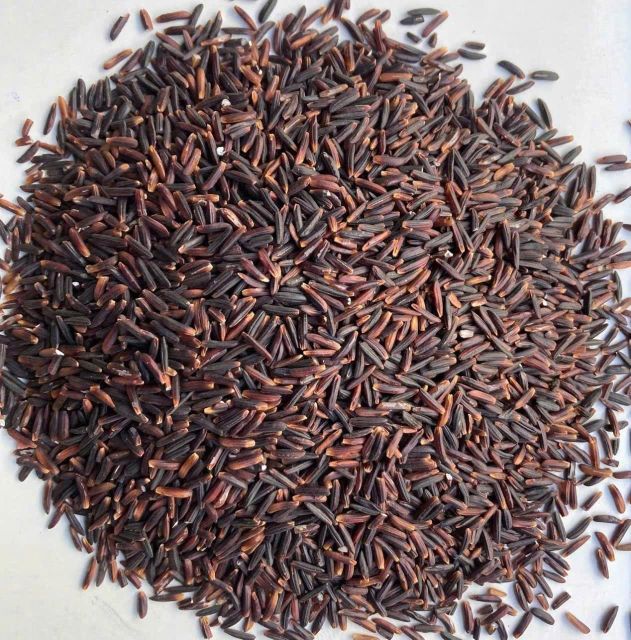 Purple Rice – Premium Vietnamese Super Grain - Image 1