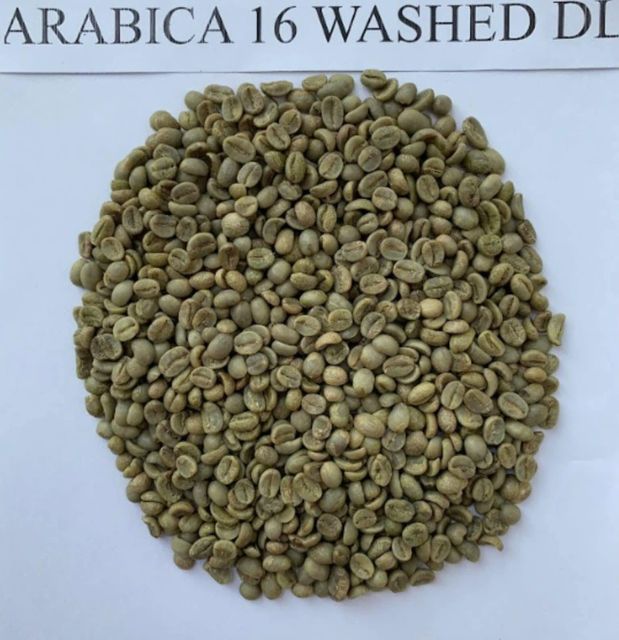 Grade AA coffee beans now available for bulk supply. sc 16 to 20 available and ready for export - Image 4